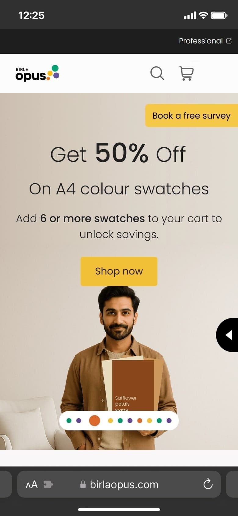 Birla Opus mobile view